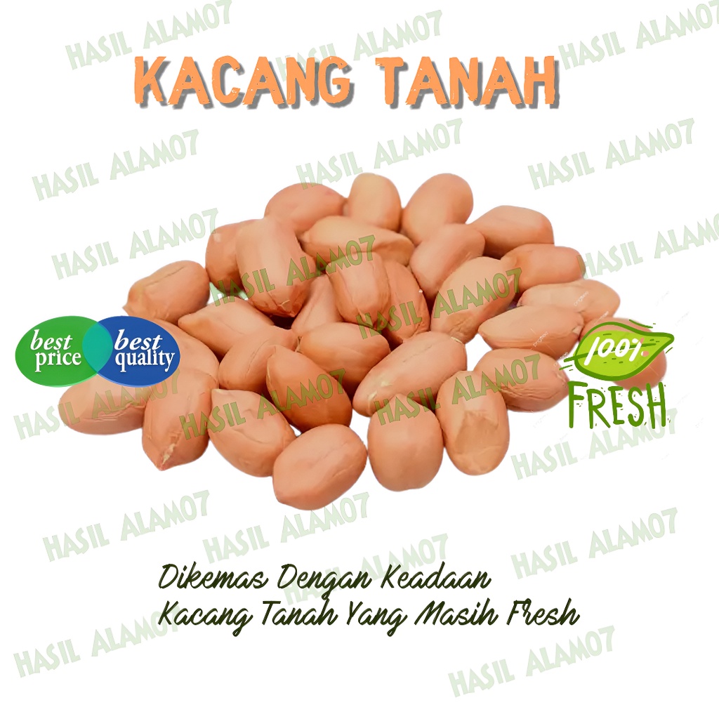 

Buah Kacang Tanah Peanuts Segar Fresh 500 gram