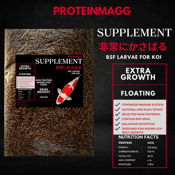 Best Seller Proteinmagg Maggot Bsf Premium Pakan Koi 1 Kg