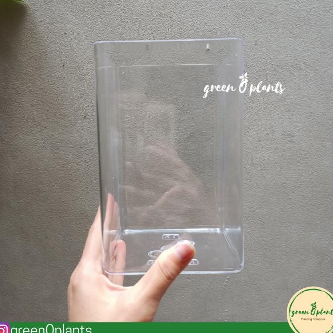 Promo Pot Water Propagation Bening Tanpa Lubang