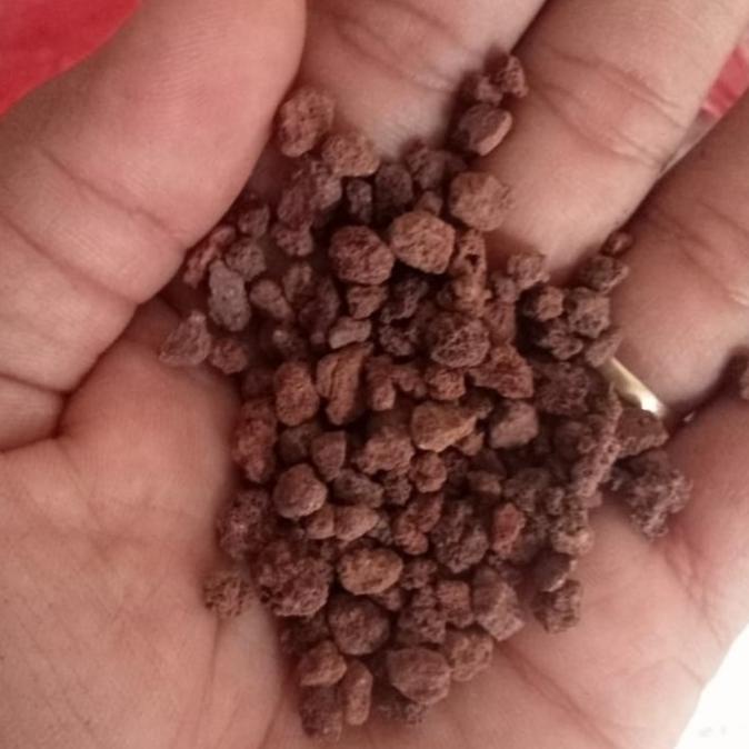 

Terbaru Red Lava Rock Karungan