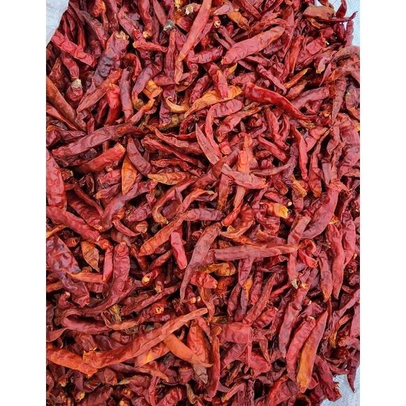 

Baru cabe kering tanpa tangkai 500gram AI7