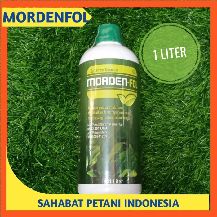 PROMO NUTRISI TANAMAN MORDENFOLL MORDEN FOL MORDEN FOL MORDEN FOLL PUPUK ORI TERBARU