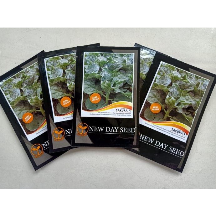 8.8 Benih / Bibit Kailan Hibrida Sakura F1 Nds