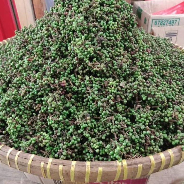 

✣Harga Murah➥ PNLQF Andaliman Segar 100 gram C92 Jual