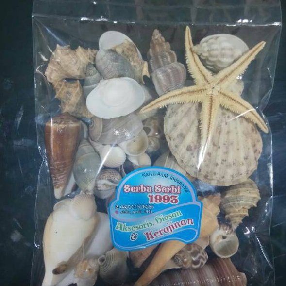 ★Terlaku. IHIT0 Aksesoris Cangkang Kerang Laut 200gr Untuk Hiasan Dan Kerajinan Tangan 047 ➴Serba Mu