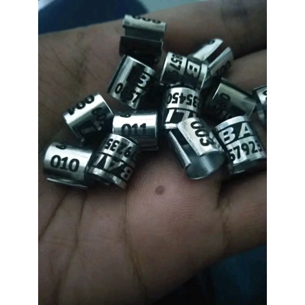 Ring.burung.merpati.dewasa.tipe.baja.belah.variasi