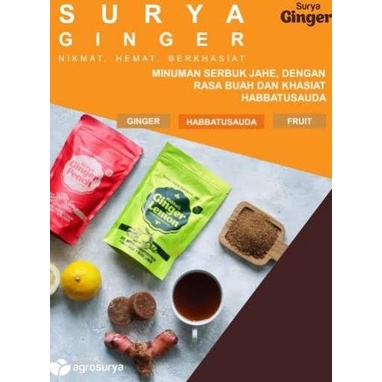 

<<<<<] Surya Ginger
