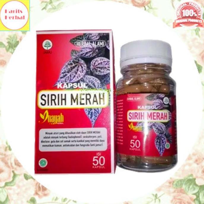 

><><><] [TERMURAH] Herbal Kapsul Daun Sirih Merah Asli Alami