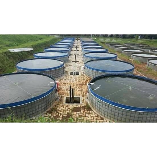 Terlaris Kolam Terpal Bulat Diameter 3 T.1. Fullset