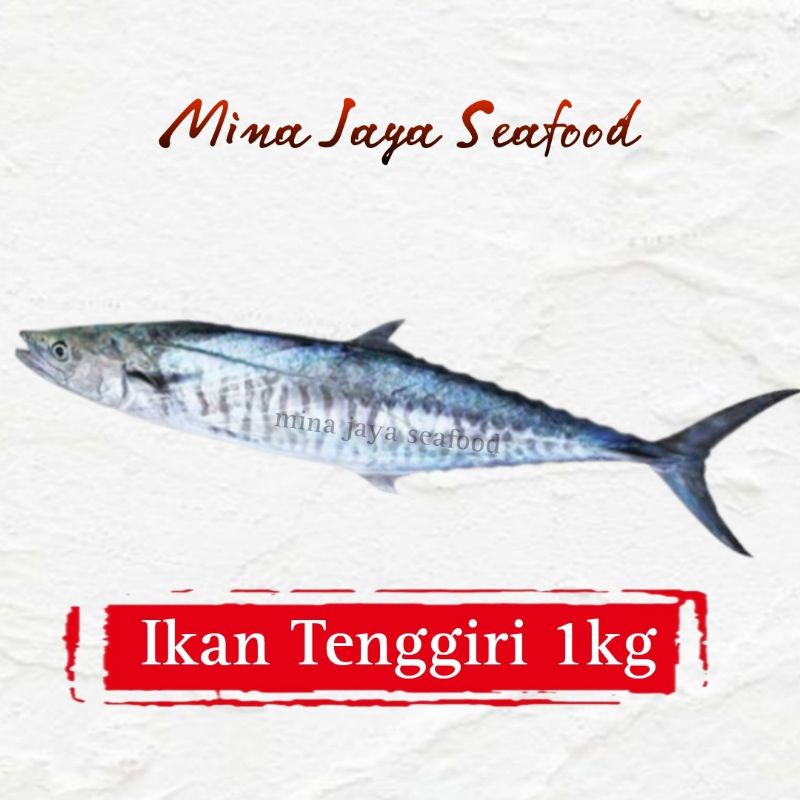 

Ikan Tenggiri Bulat 1KG / FREE SUDAH DIBERSIHKAN