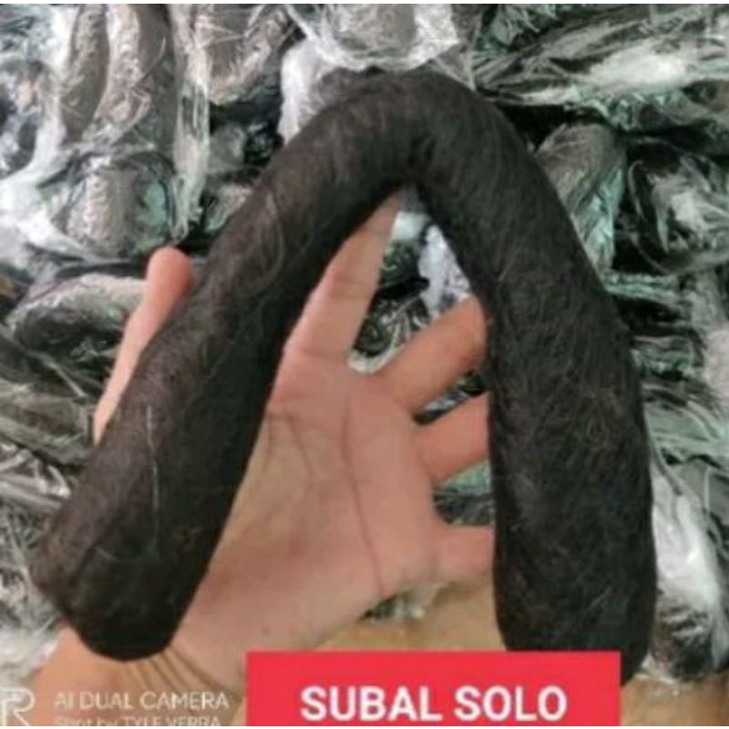 SUBAL/TIKUSAN SANGGUL