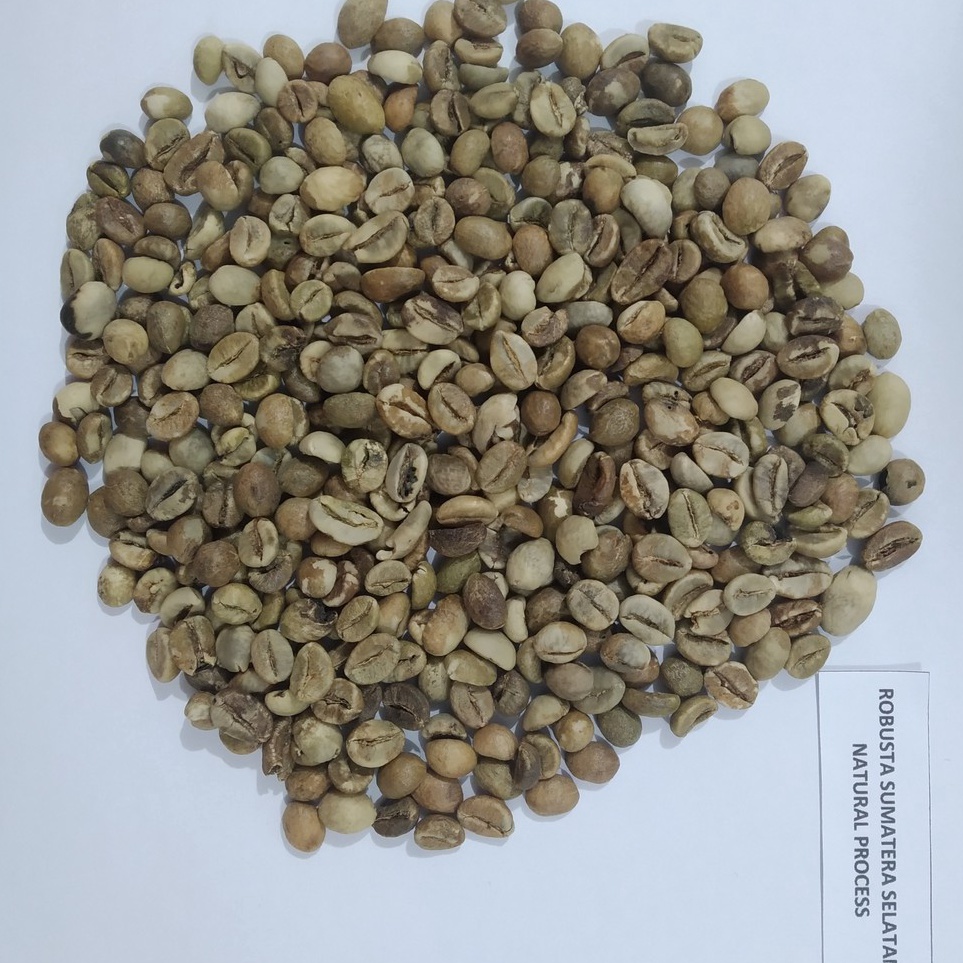 

Sale 1kg - KOPI ROBUSTA LAMPUNG/SUMATERA SELATAN G4 C/80 (GREEN BEAN ) - NATURAL PROCESS Grosir