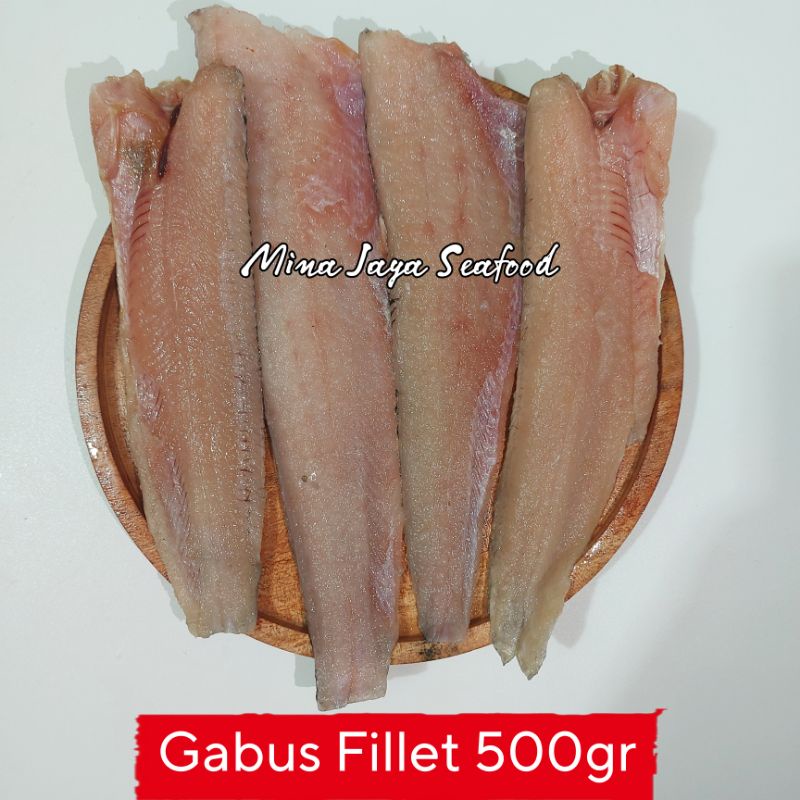 

Ikan Gabus Fillet 500 Gram / FREE SUDAH DIBERSIHKAN