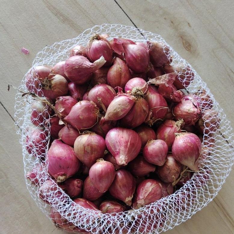 

8.8 [Discount] Bawang Merah Probolinggo New !!