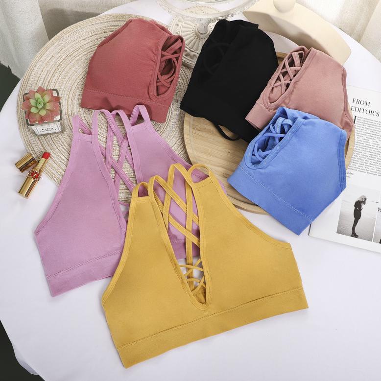 Diskon Hc Bra Wanita Tanpa Kawat 6830 Bh Sport Push Up Instyle Senam Zumba Jogging Yoga Busa Tebal C