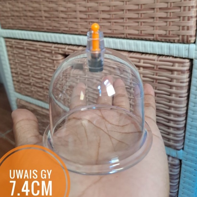 ➴Buruan Beli❈ YHHAQ kop bekam satuan B2 ( 7.4 cm) di cup tertulis angka 1 N79 Serba Murah