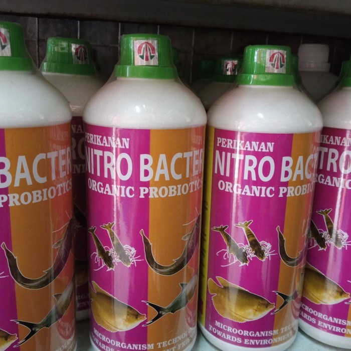 Bestseller Nitrobacter Cair Tamasindo 1 Liter