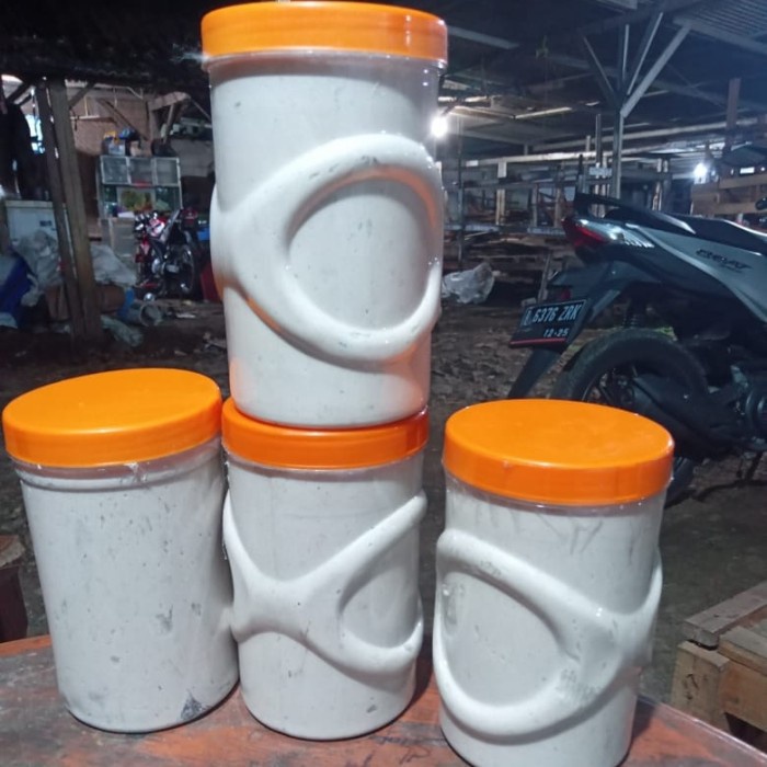 Terlaris Kucur Umpan Pancing Ikan Baung/Kucur Premium/Kucur 1 Kg/Kucur Gacor