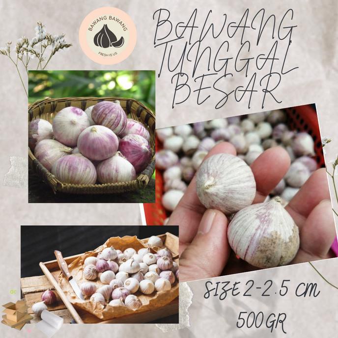 

Bawang Putih Tunggal Lanang Besar 500G