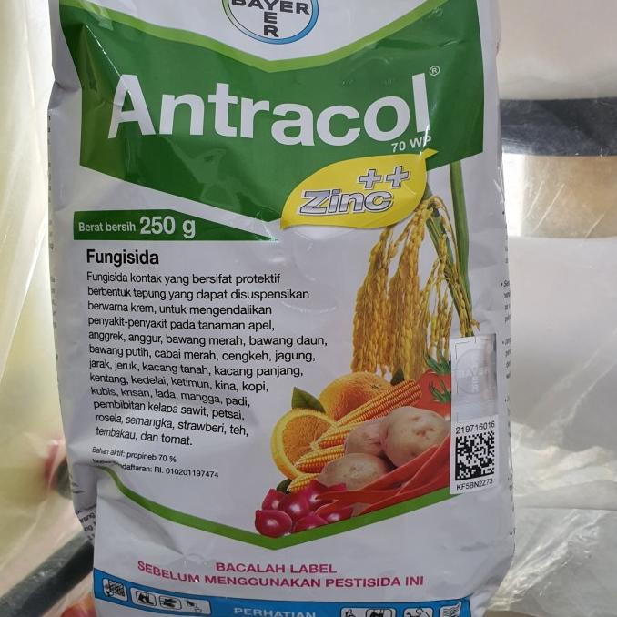 +++++] fungisida antracol 250 gram