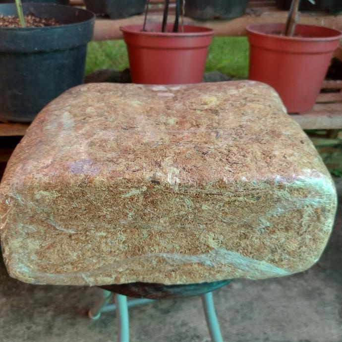 MEDIA TANAM SPHAGNUM MOSS 1 KG