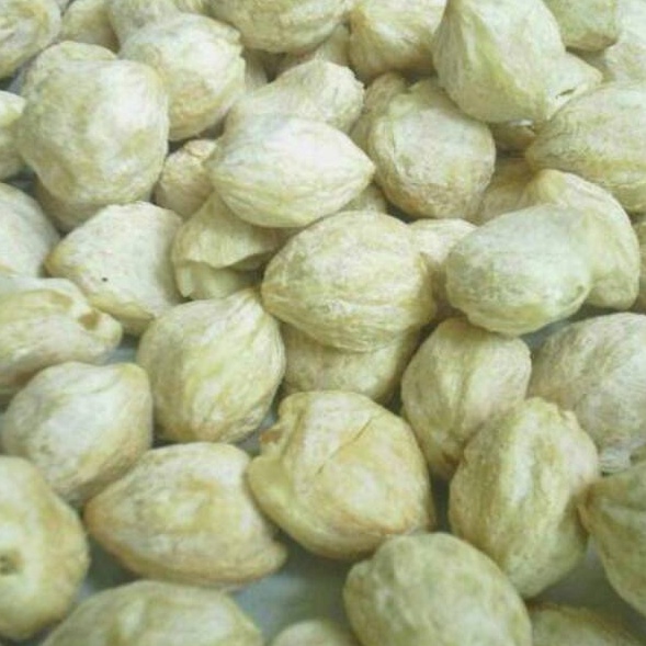 

Best Product Kemiri bulat 1 kilogram Terkini