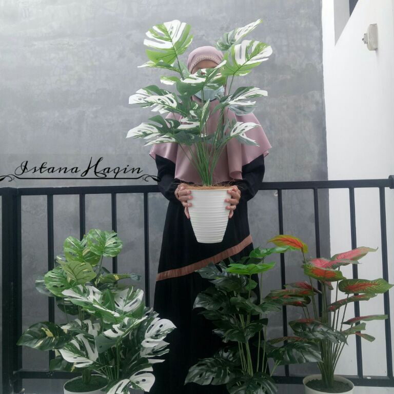 CHEKOUT. Monstera Artificial Monstera Hijau Monstera Varigata plus Pot