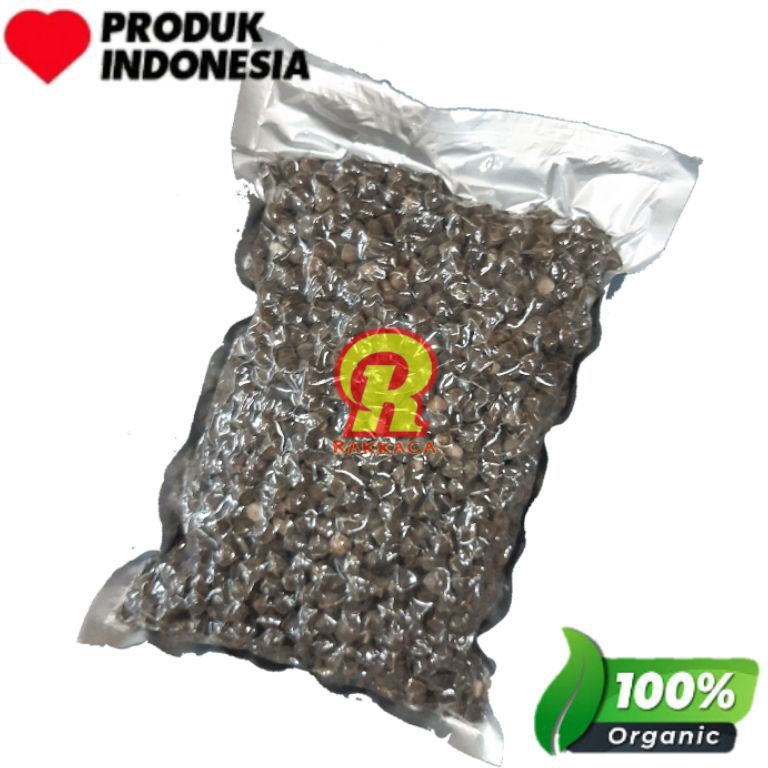 

Best.. Biji Kelor (Morianga Seed) La mu zi 500 gram GVA