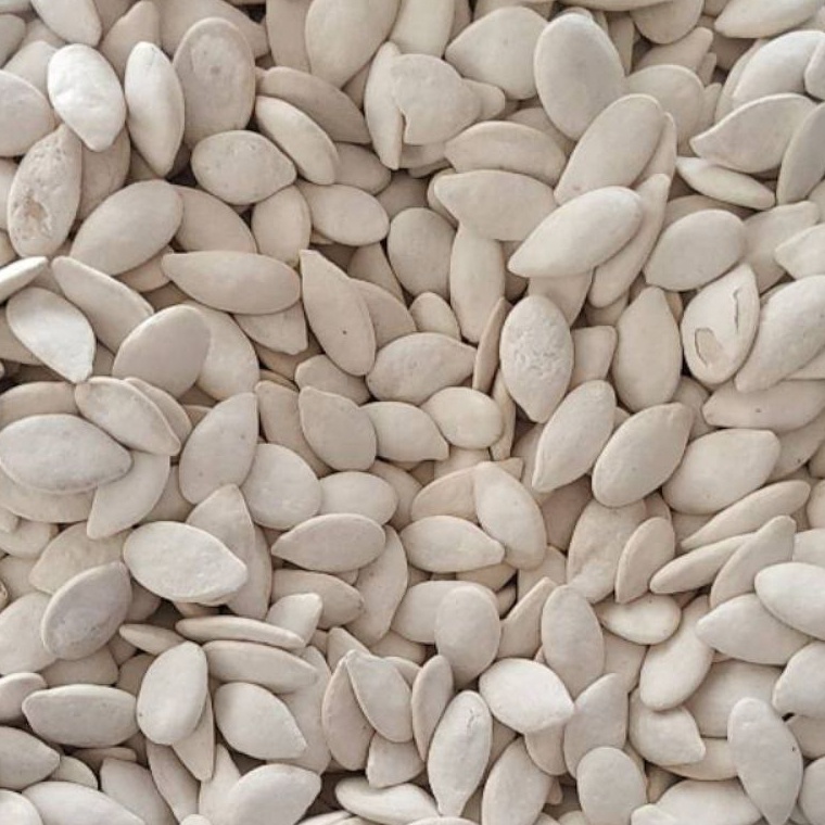 

Hot Sale.. KWACI PUTIH / KWACI BIJI LABU PUTIH 1 KG L9R