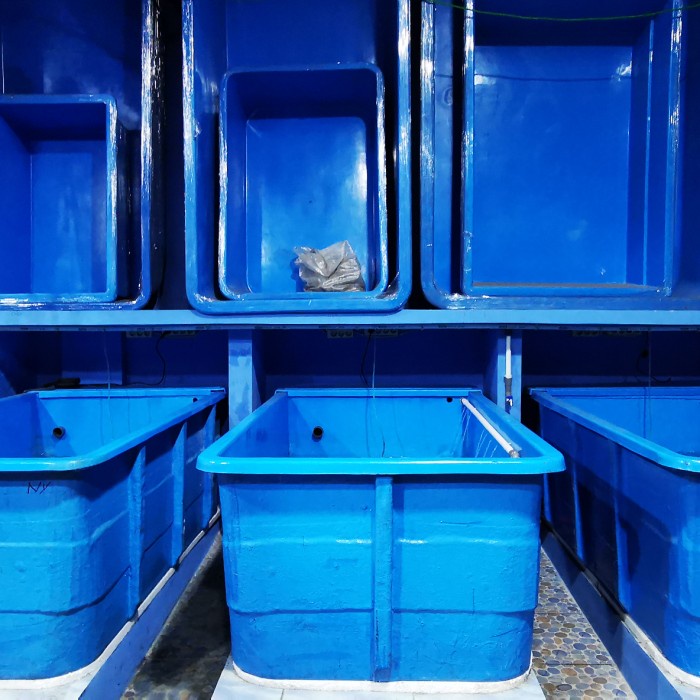 

Terlaris Bak Piber 200X40X30 Bisa Custome Dan Sesuai Ukuran