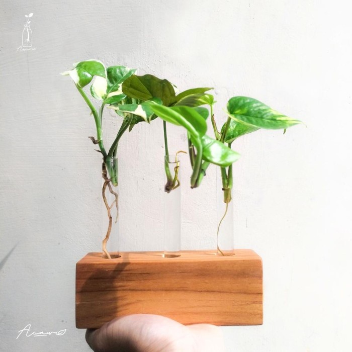 Terlaris Vas Bunga Propagasi Tanaman Hias Pajangan Dekorasi Meja Belajar Kerja