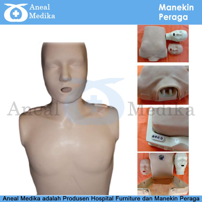 Best Seller Manekin Prestan Cpr - Manekin Prestan Cpr Lokal