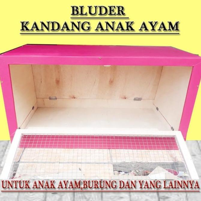 kandang anak ayam inkubator