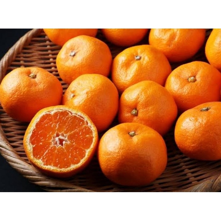 

Ready Jeruk segar (ka susan) ★★★★★