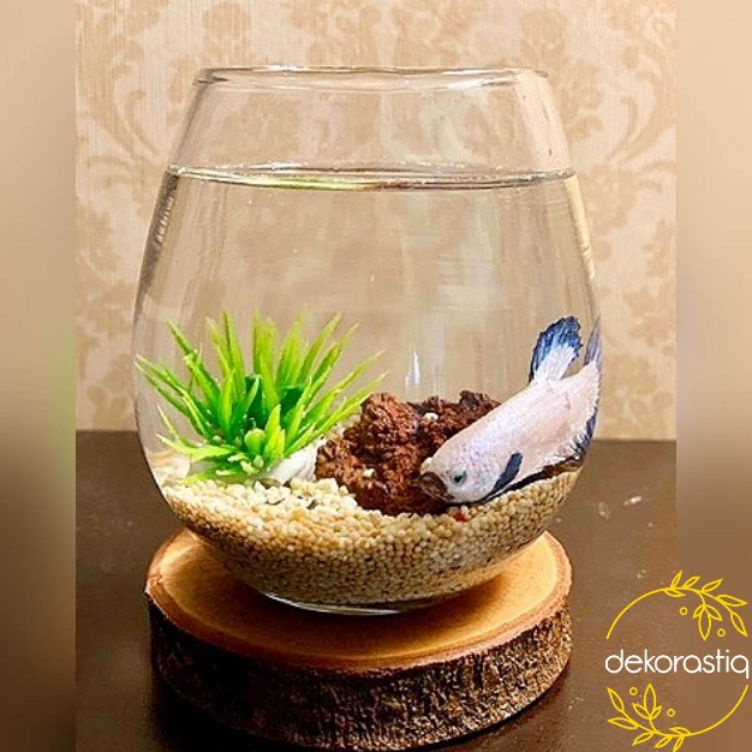 ★★★★ (1  PAKET) AQUARIUM MINI IKAN CUPANG TUSKANI / AQUARIUM BULAT AESTHETIC / VAS IKAN KECIL Murah
