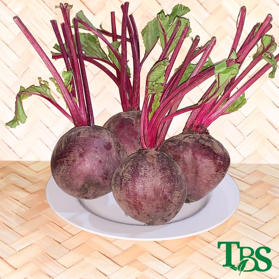 

PALING AMPUH✌️>>> BUAH BIT FRESH | BEET ROOT