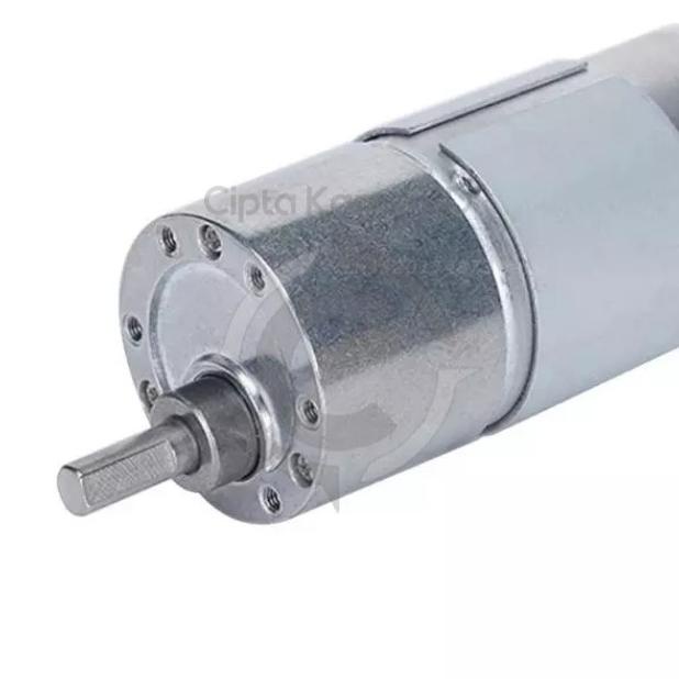 Dinamo Dc Motor Gearbox 12V 24V