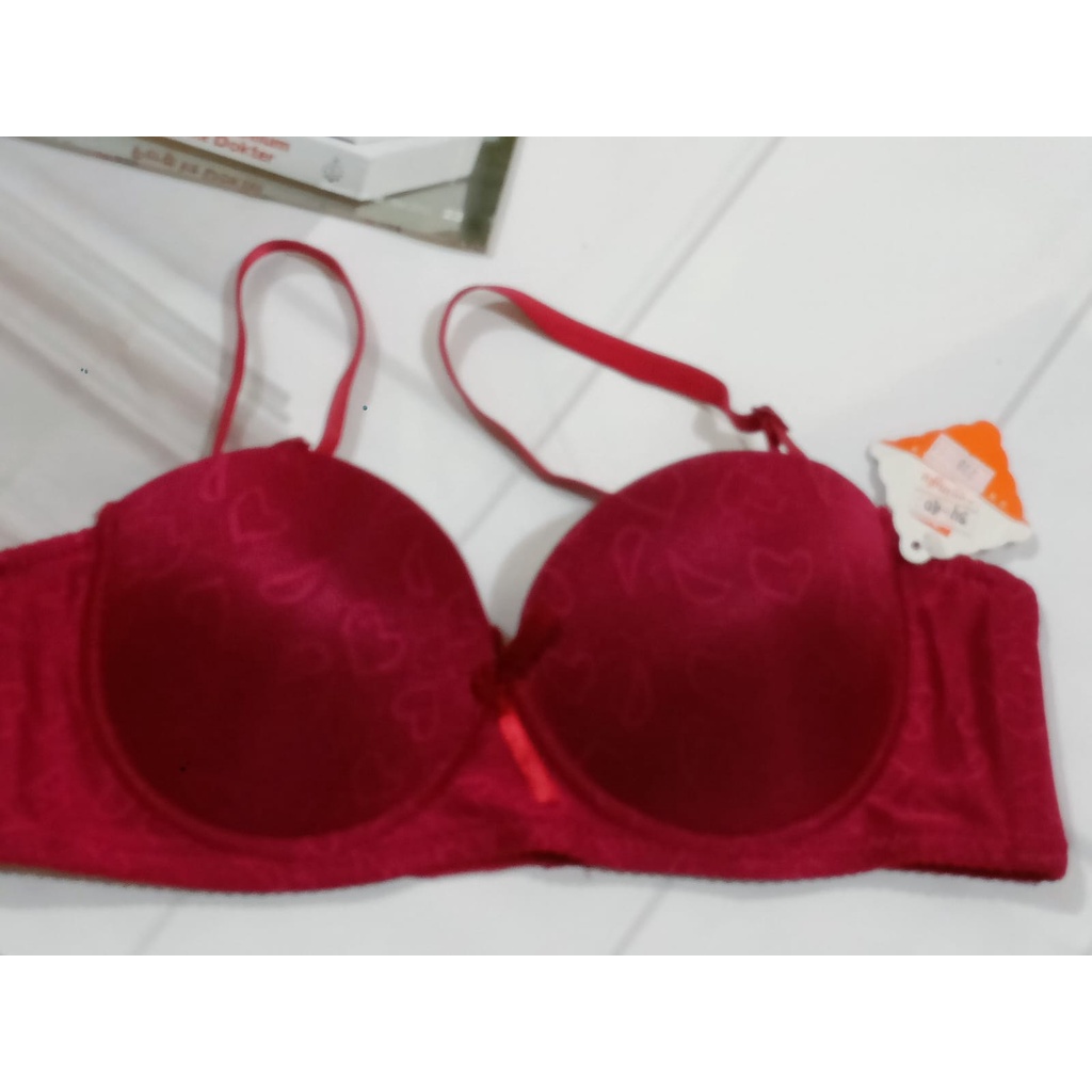 BRA / BH WANITA 778  ADA KAWAT BUSA TIPIS SIZE 34-40