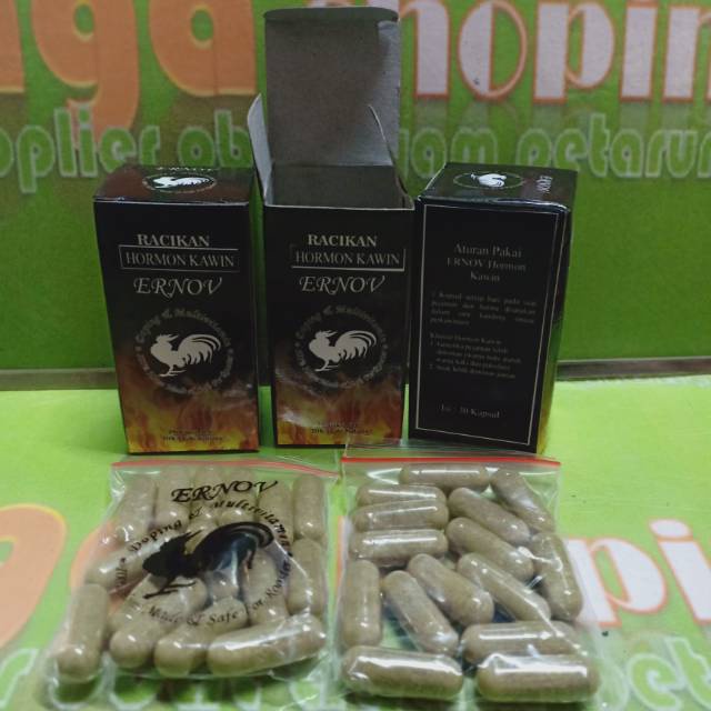 ernov hormon kawin 30cap obat vitamin ayam tarung birahi bibit bermutu
