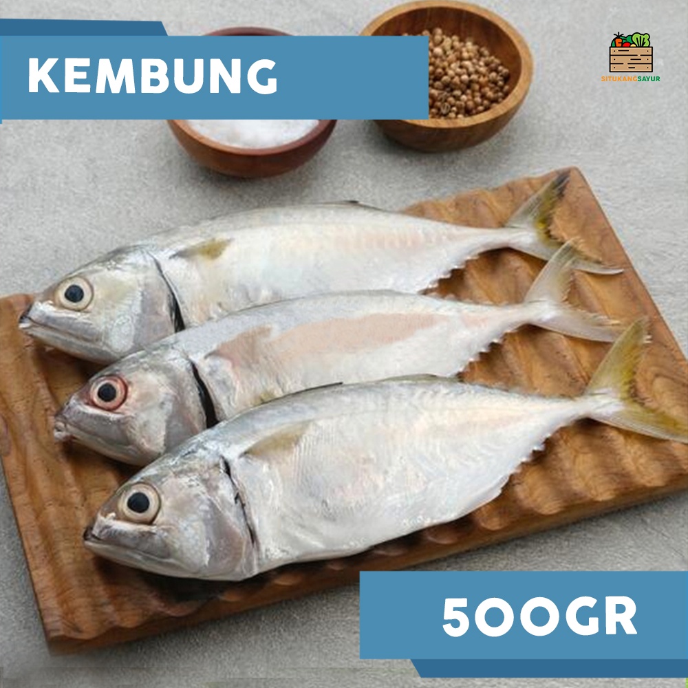 

Ikan Kembung | ±500gr (Kota Bandung & Sekitar)