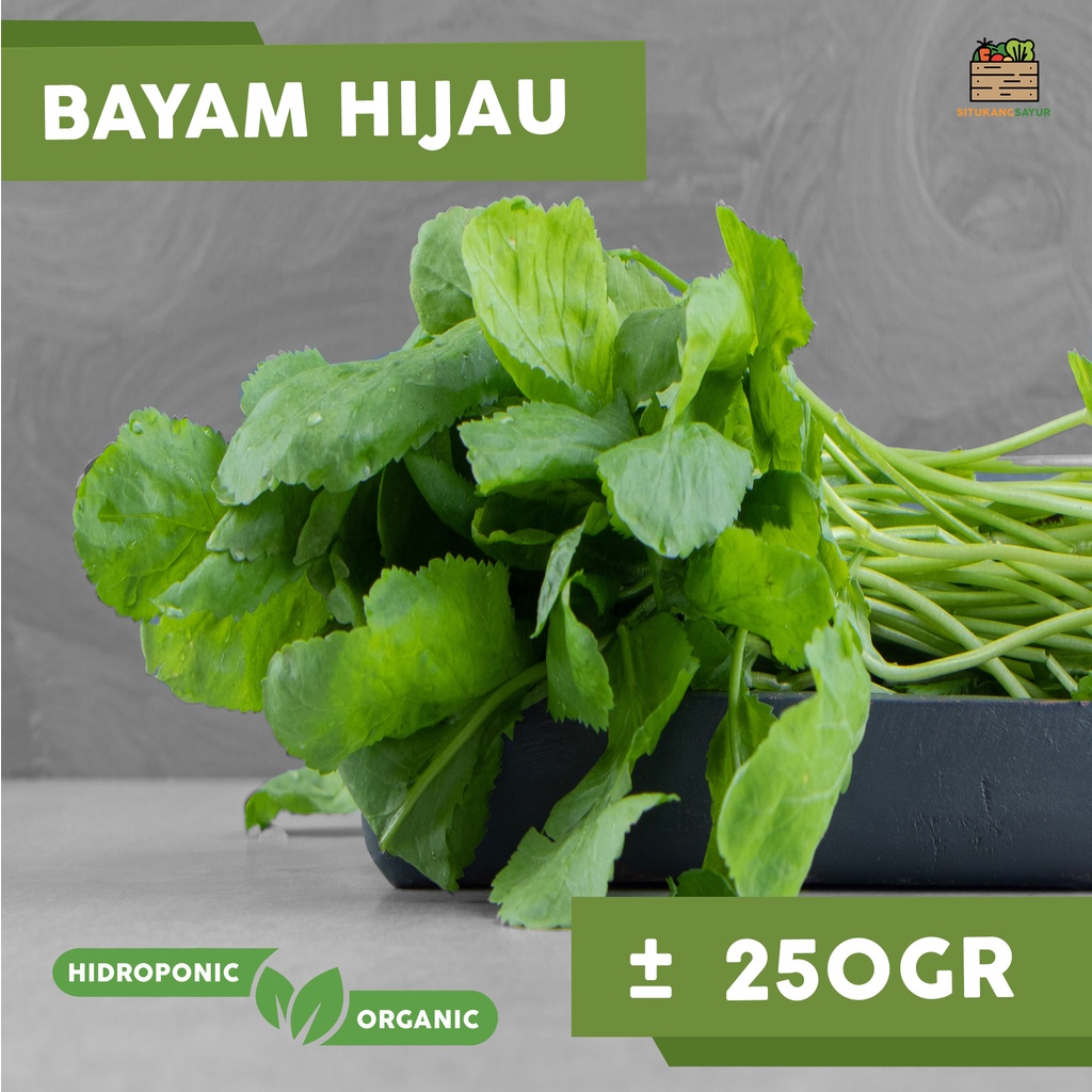 

Sayur Bayam Hijau Organik / Hidroponik | ±250gr (Kota Bandung & Sekitar)