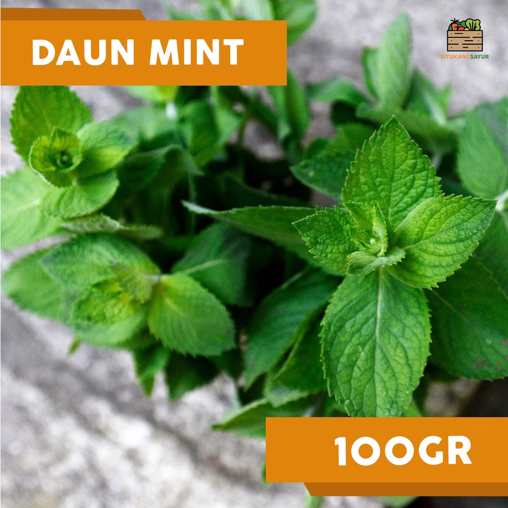 

Daun Mint | 100gr (Kota Bandung & Sekitar)