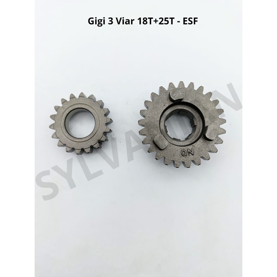 RODA 3 GIGI 3 VIAR 18T + 25T - ESF
