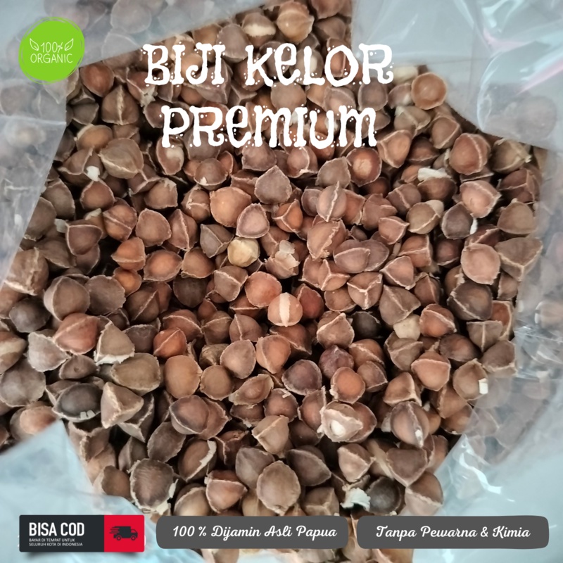 BIJI KELOR PREMIUM 100% DIJAMIN ORIGINAL