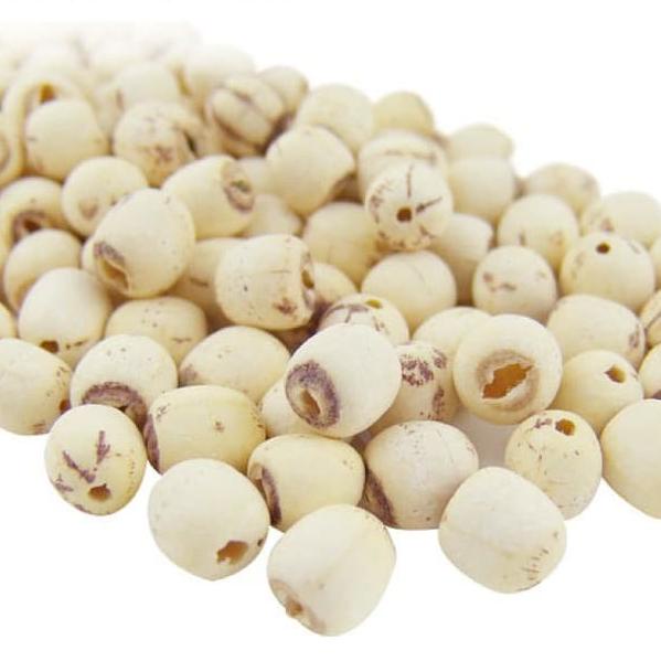 

PRODUK BIJI TERATAI / LOTUS SEED / LIEN ZI 100 GR