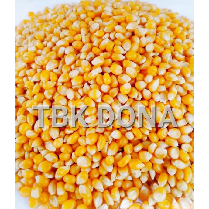 

STOK TERBATAS JAGUNG POPCORN REPACK 250 GR