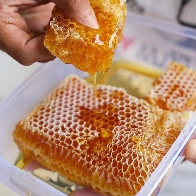 

Madu Sarang Kotak Kualitas Terbaik / Honeycomb / Asli Vine Store Redthiny