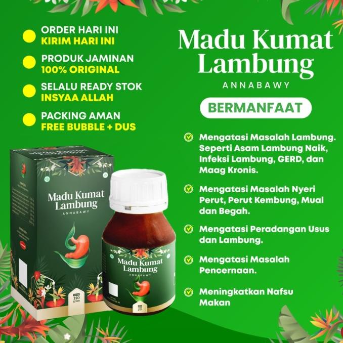 

Madu Kumat Lambung Annabawy 350Gr - Solusi Asam Lambung & Maag Kronis