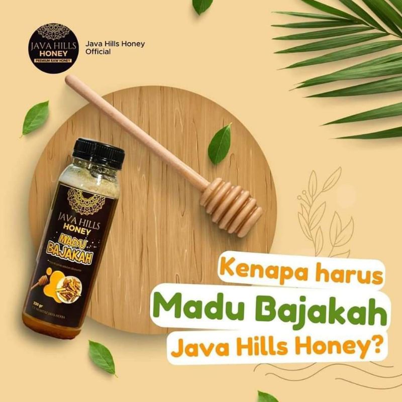 

madu bajakah