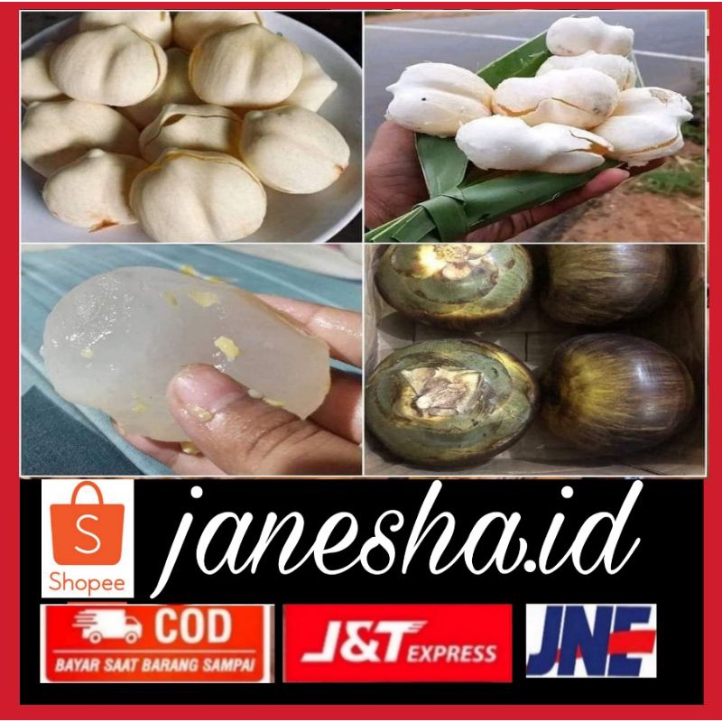 buah lontar/siwalan utuh semarang